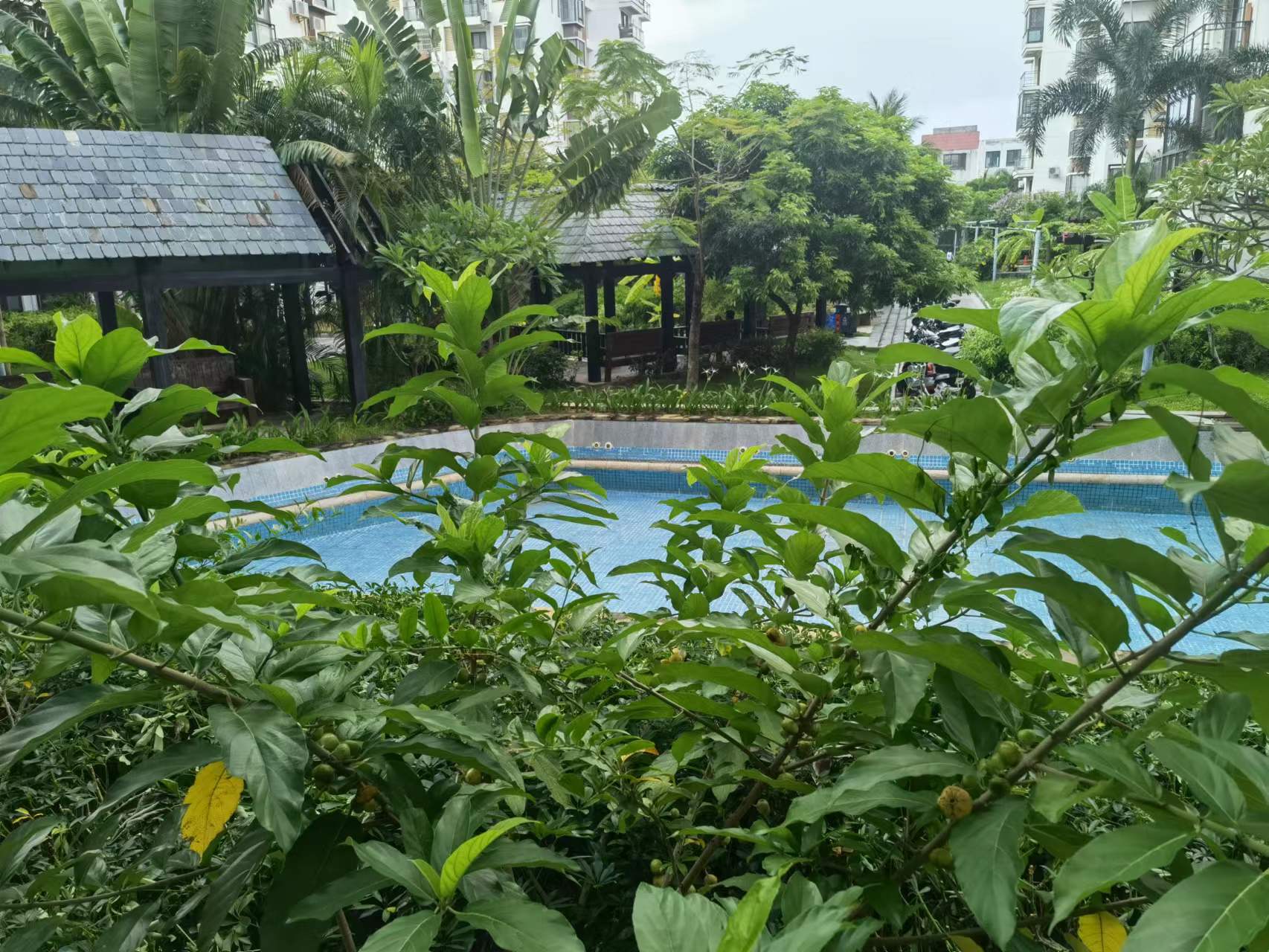 酒店户外游泳池(图3)