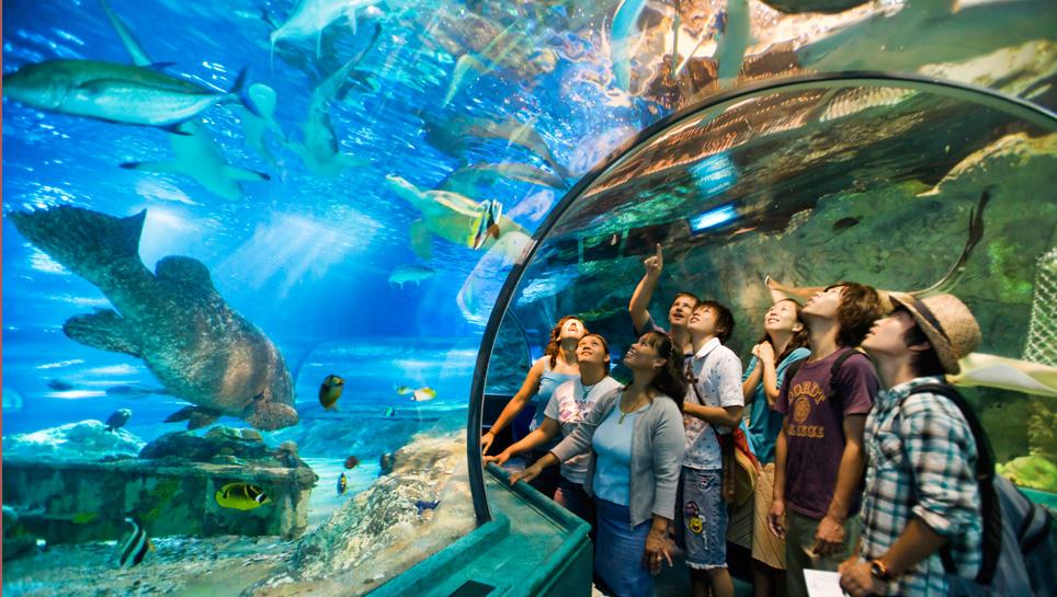 1540135761999628.jpg 1-1F9251H412945.jpg