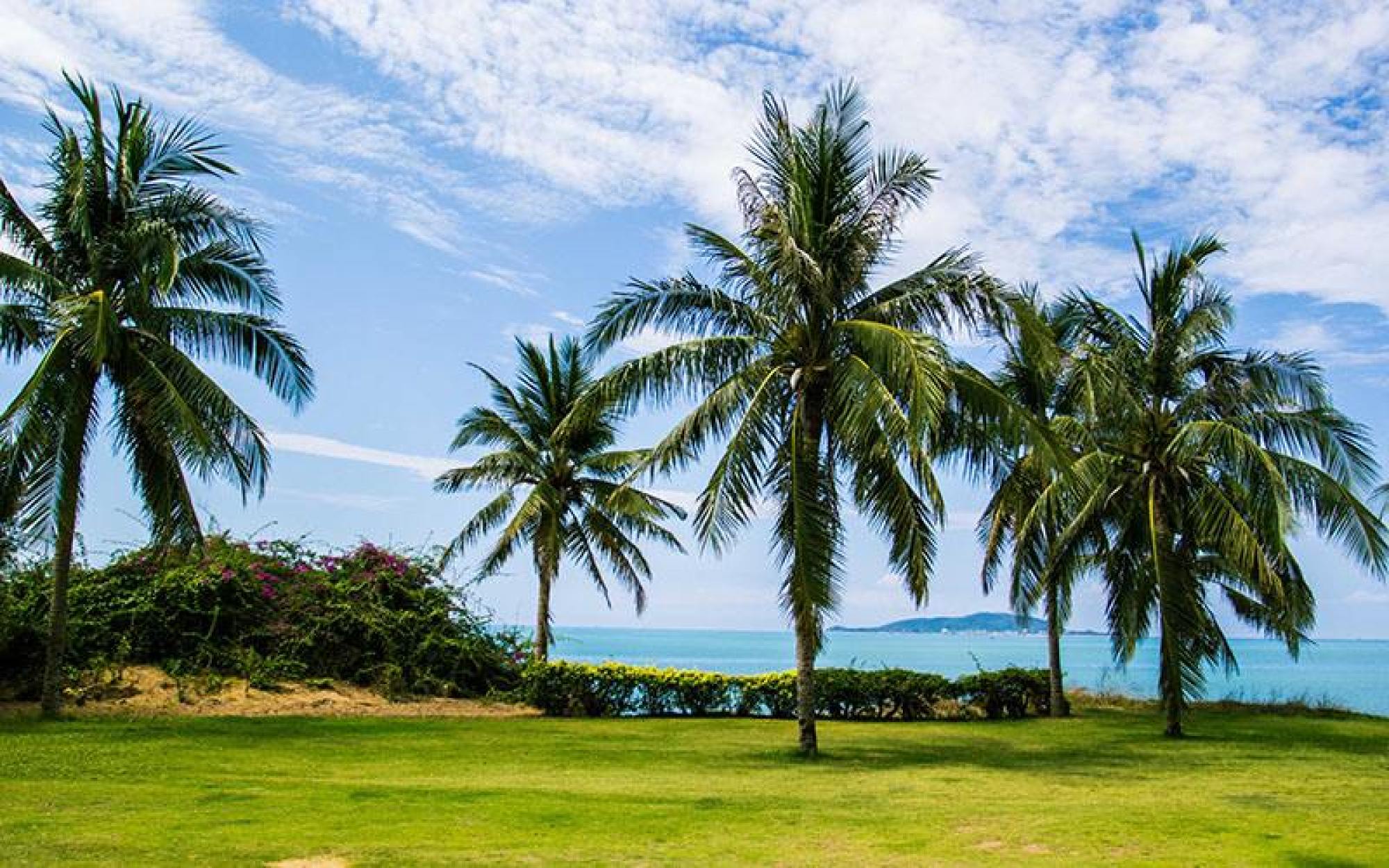 1526524028735filetimg (70).jpg